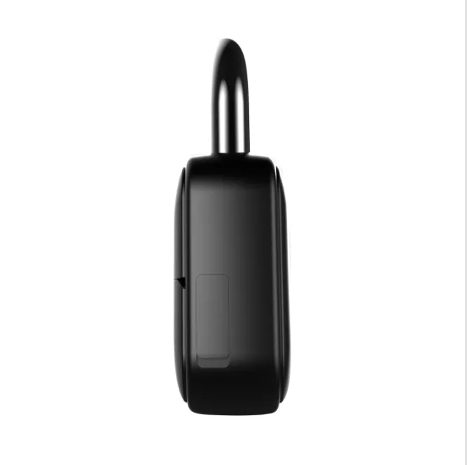 Heavy-duty Keyless Weatherproof Fingerprint Smart Lock | 500KG Tension